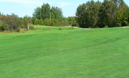 Bruce Grey Simcoe Golf - Harron Marketing-Stone Tree Golf and Fitness Club  , Owen Sound